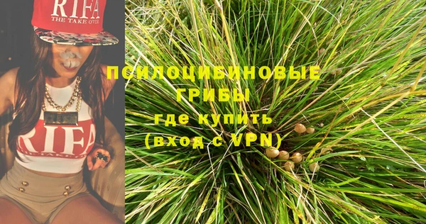 марки nbome Белокуриха