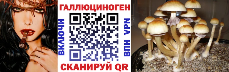 Галлюциногенные грибы мицелий  где продают наркотики  Красноперекопск 